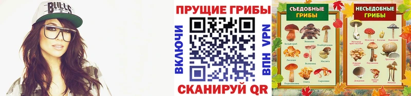 ОМГ ОМГ зеркало  Сосенский  Галлюциногенные грибы GOLDEN TEACHER 